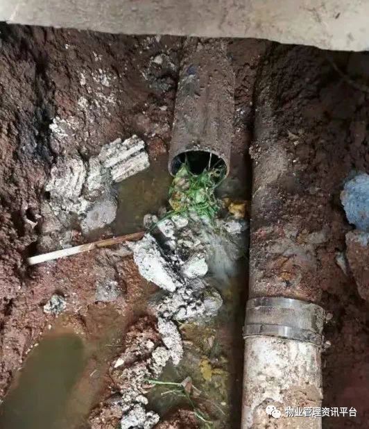 案例说法下水管道是楼栋血管善待有责破坏同责(图3)