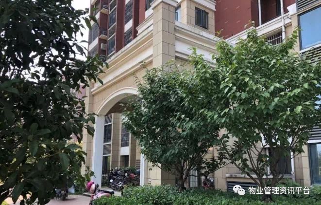 案例说法下水管道是楼栋血管善待有责破坏同责(图9)