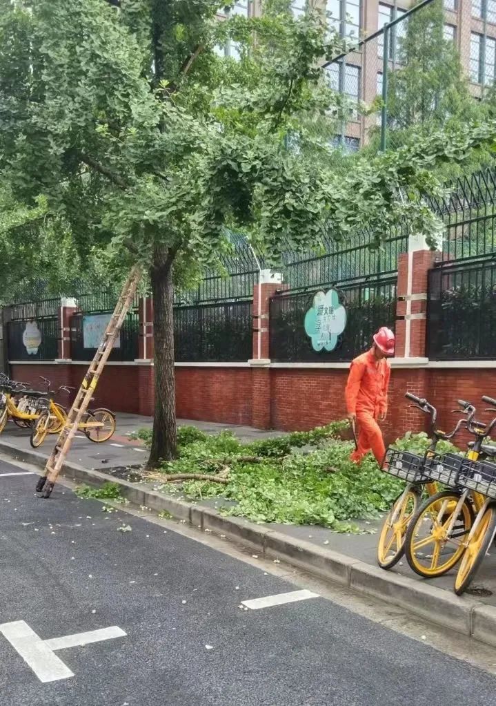 “暴力梅”来袭他们全线出动……(图6)