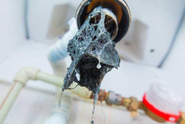 Kaiyun（中国体育）：保护家庭健康从水管清洗开始(图1)