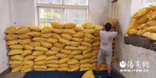 略阳县水务有限公司：以“备”度“汛”全力抢险切实保障汛期城乡供水安全(图7)