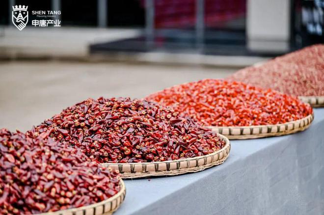 底料低至99元餐饮业再现“新卷王”！(图9)