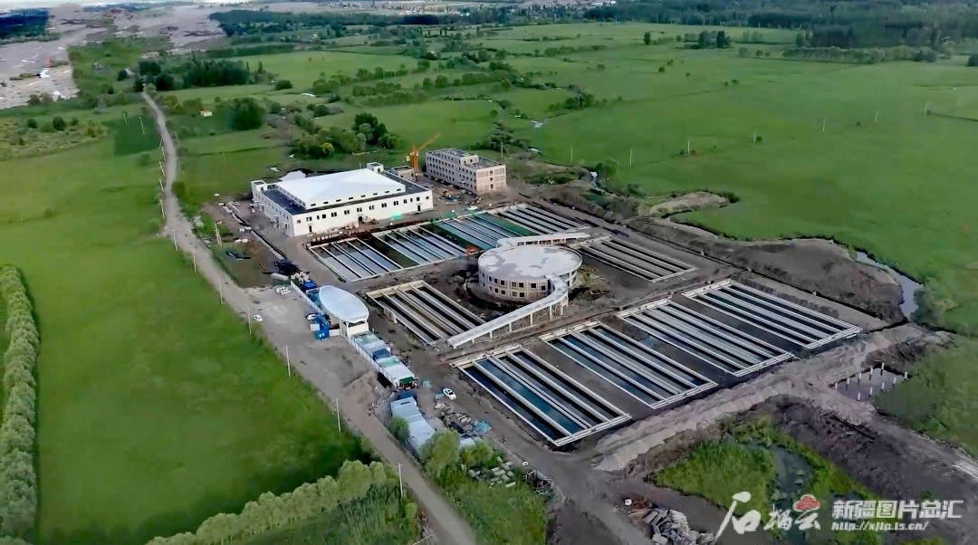 “疆”阔凭鱼跃——新疆三文鱼三产融合发展观察(图7)