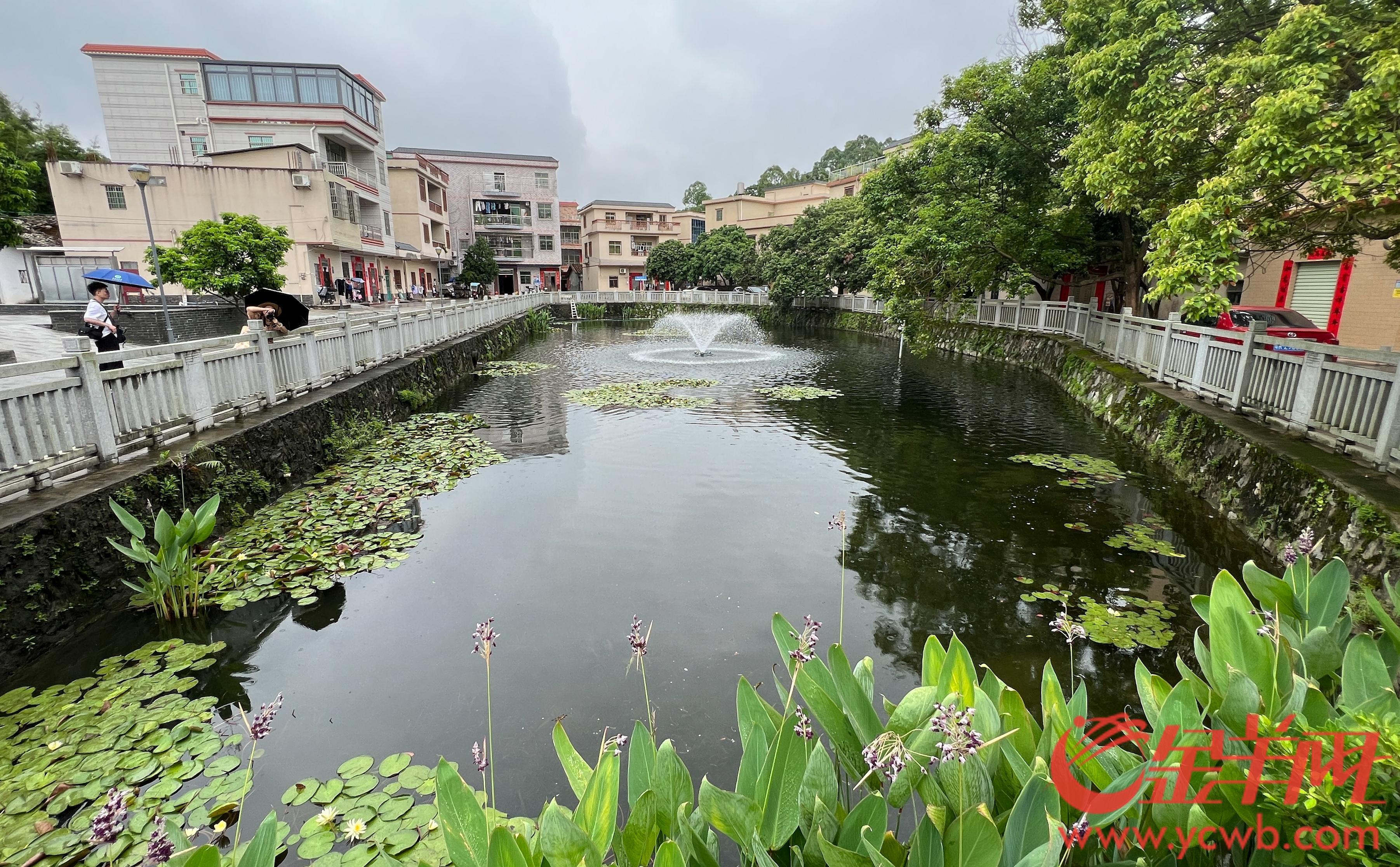 广州黄埔：昔日散排农污水如今“再生”润绿美(图2)