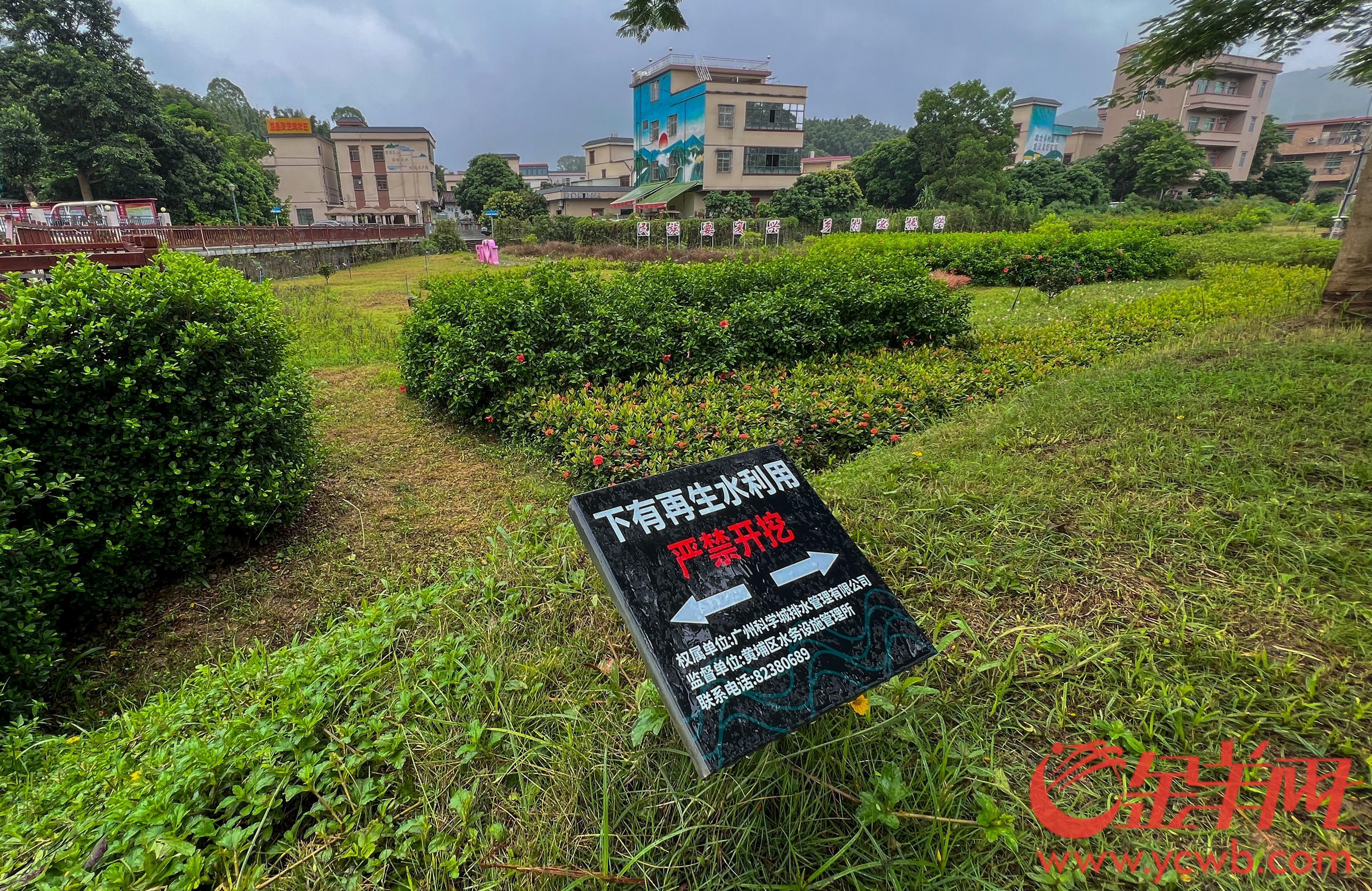 广州黄埔：昔日散排农污水如今“再生”润绿美(图4)