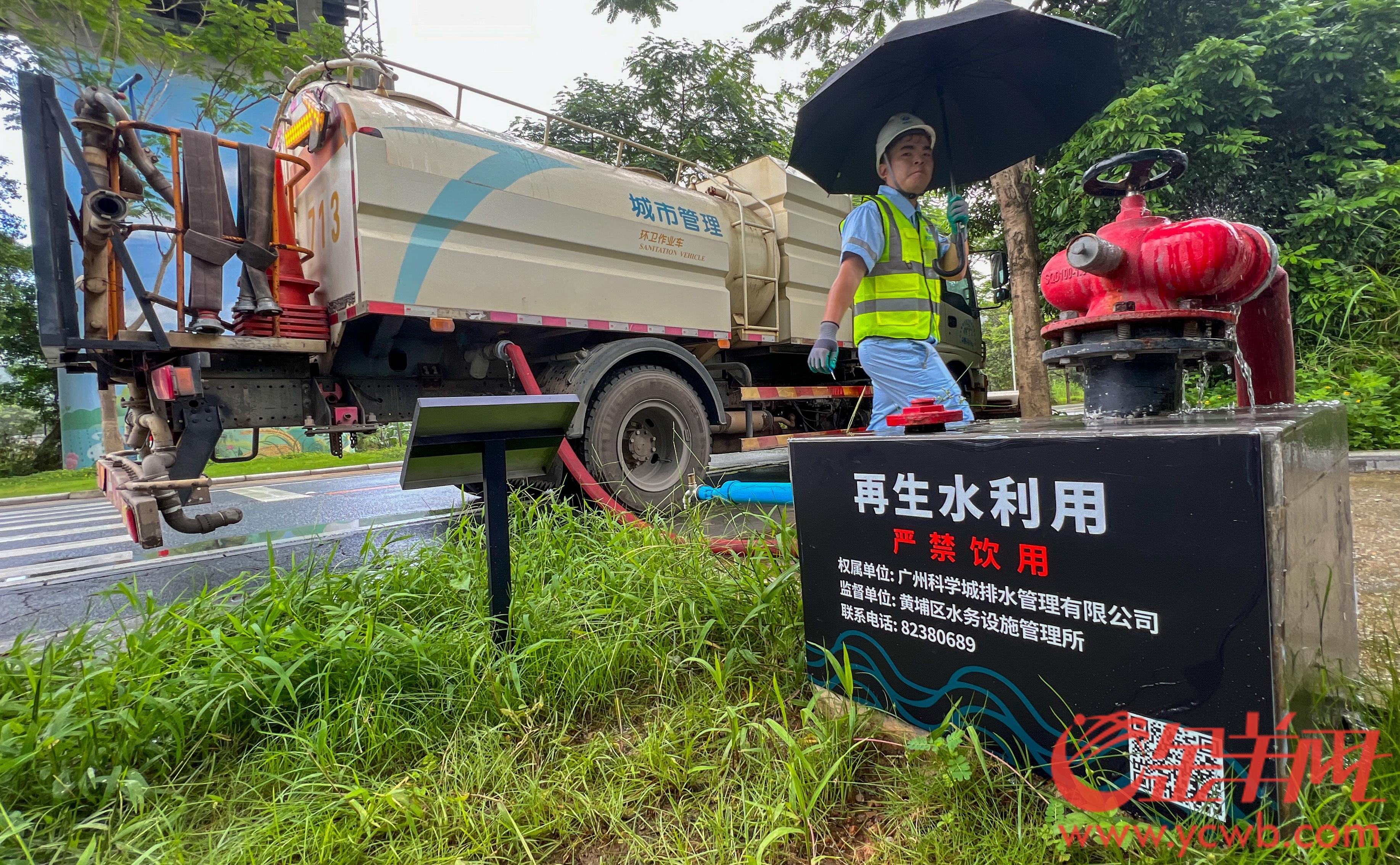 广州黄埔：昔日散排农污水如今“再生”润绿美(图5)