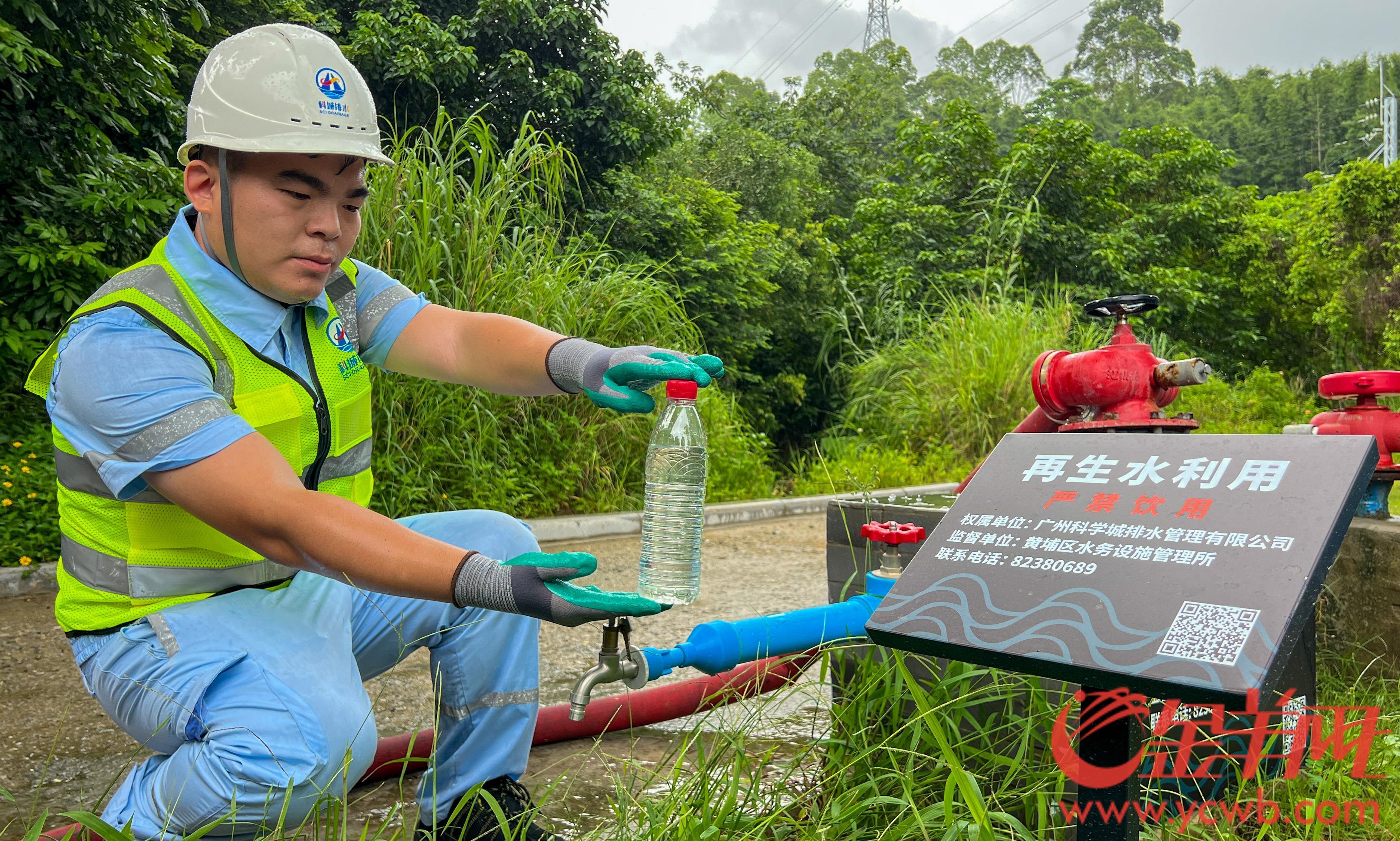 广州黄埔：昔日散排农污水如今“再生”润绿美(图7)