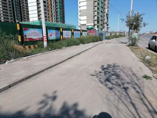 解决绿化管线、清理道路“绊脚石”(图2)