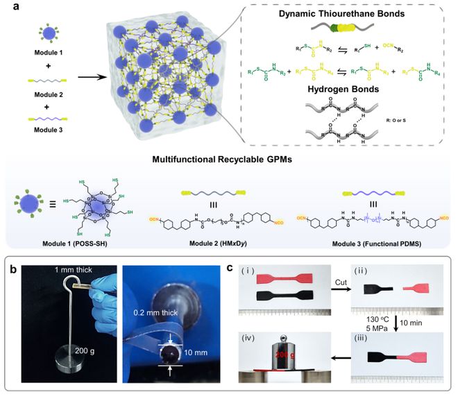 Kaiyun（中国体育）：华工团队研发分步杂化新策略造出玻璃状高分子材料(图2)