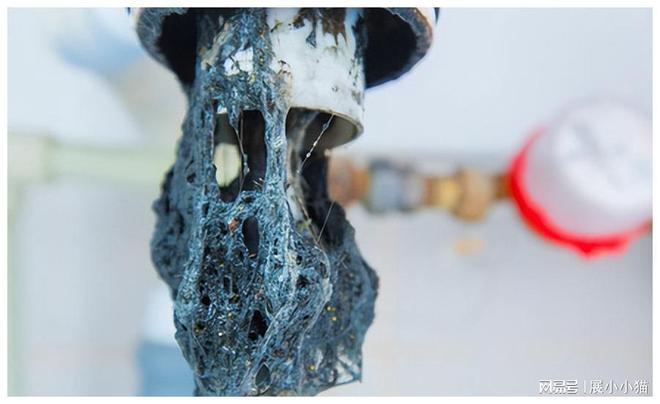 Kaiyun体育网站：下水道被油污堵了千万别用开水冲！简单一招家中管道畅通无阻(图11)