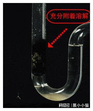 Kaiyun体育网站：下水道被油污堵了千万别用开水冲！简单一招家中管道畅通无阻(图20)