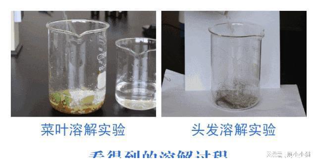 Kaiyun体育网站：下水道被油污堵了千万别用开水冲！简单一招家中管道畅通无阻(图22)