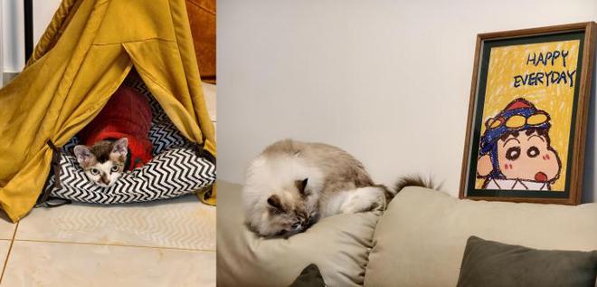 如何科学的进行地面清洁？云鲸J5能给你答案(图1)