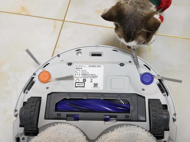 如何科学的进行地面清洁？云鲸J5能给你答案(图4)