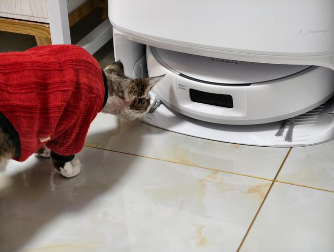 如何科学的进行地面清洁？云鲸J5能给你答案(图5)