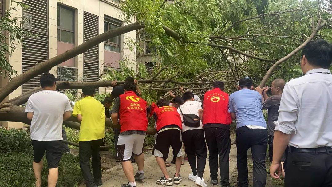 全力以“复”无锡“颜值”加速回归(图3)