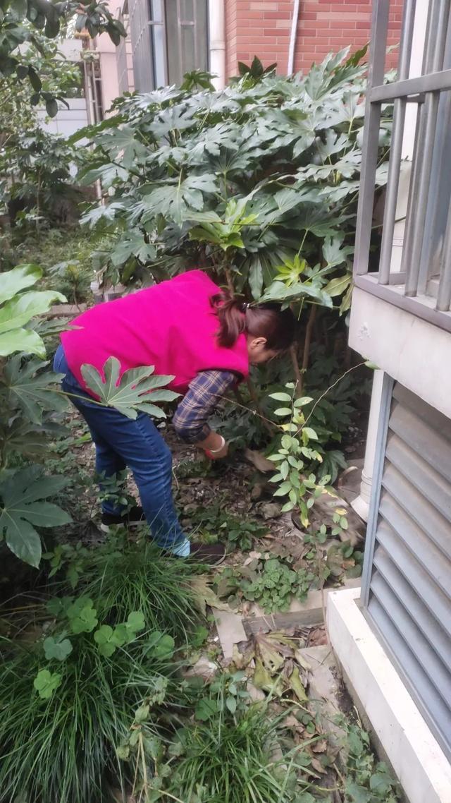 Kaiyun体育网站：台风“康妮”警报拉响！徐汇各街镇严阵以待保安全(图8)