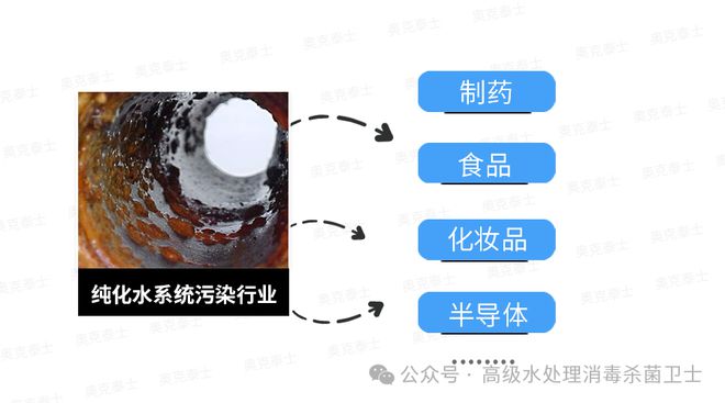 Kaiyun(中国体育):医药水处理纯化水管道生物膜处理方法避免清洗液工艺水菌落超标(图3)