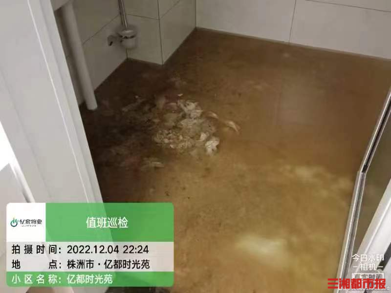 小区大事｜污水倒灌“泡”了新家业主损失谁来担(图2)