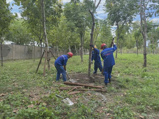 已转移安置433万人！闵行积极排查隐患、严阵以待(图3)