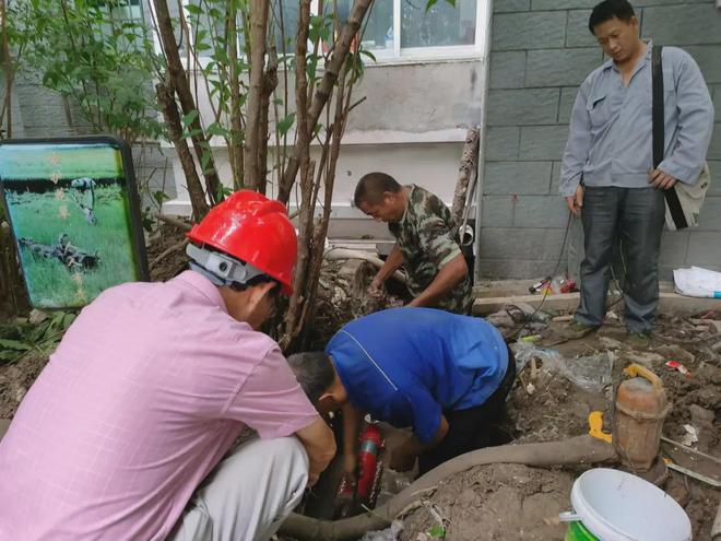 已转移安置433万人！闵行积极排查隐患、严阵以待(图11)