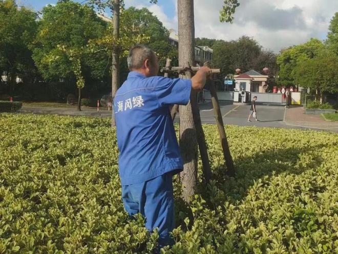 已转移安置433万人！闵行积极排查隐患、严阵以待(图13)