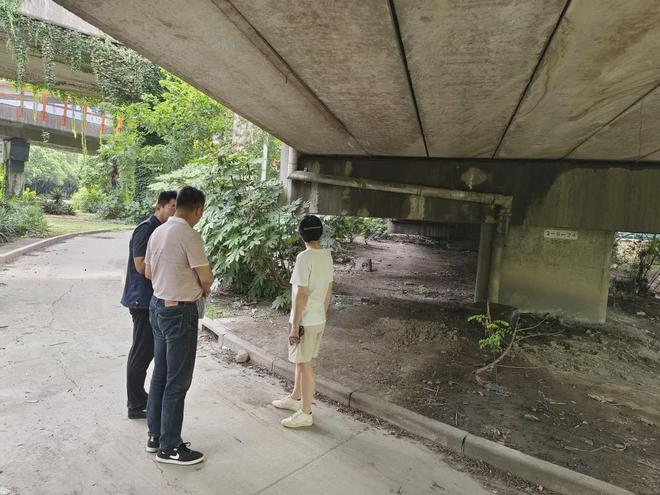 已转移安置433万人！闵行积极排查隐患、严阵以待(图30)