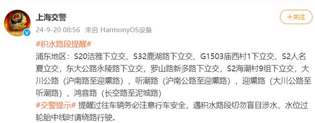 上海浦东、奉贤破降雨历史纪录！暴雨致积水严重水闸全开、泵车出动！334所学校停课！紧急提醒(图4)