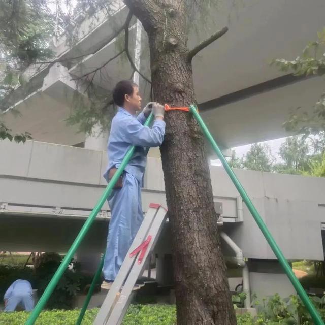 上海浦东、奉贤破降雨历史纪录！暴雨致积水严重水闸全开、泵车出动！334所学校停课！紧急提醒(图11)