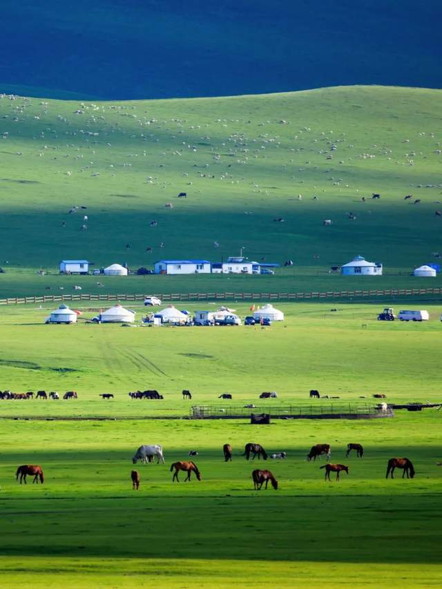 草中蒙哈国运大比较！地球知识局(图1)