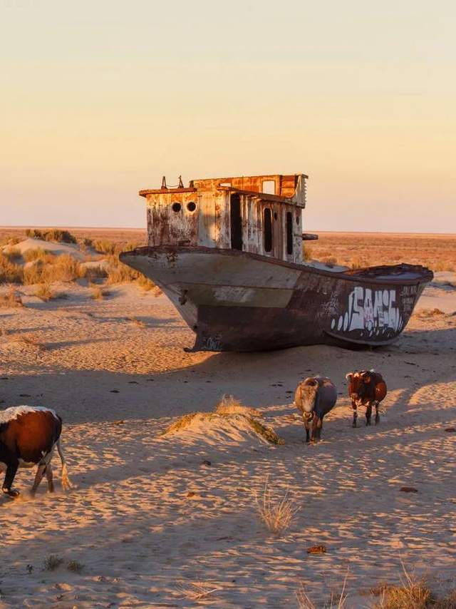 草中蒙哈国运大比较！地球知识局(图3)