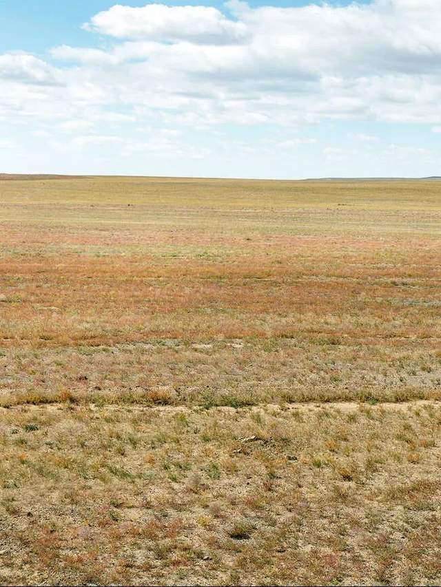 草中蒙哈国运大比较！地球知识局(图10)