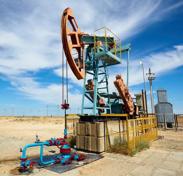 草中蒙哈国运大比较！地球知识局(图15)