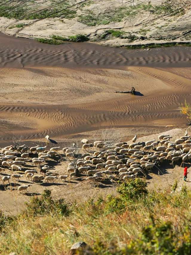 草中蒙哈国运大比较！地球知识局(图20)