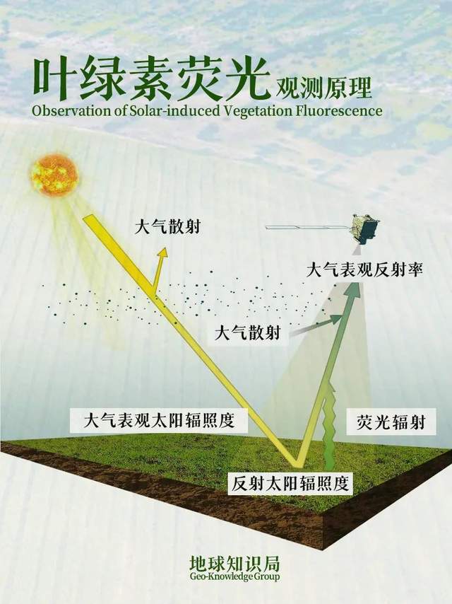 草中蒙哈国运大比较！地球知识局(图27)