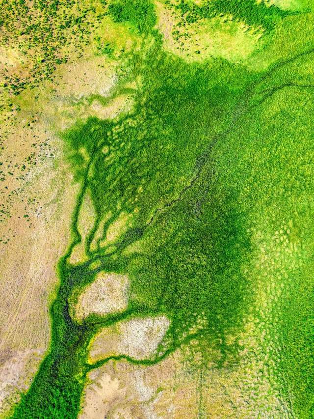 草中蒙哈国运大比较！地球知识局(图29)