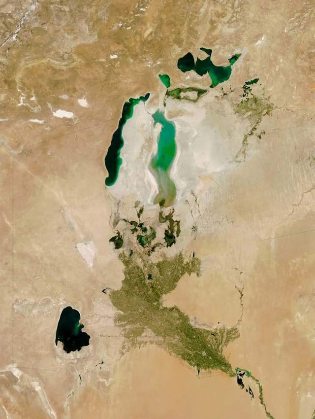 草中蒙哈国运大比较！地球知识局(图32)