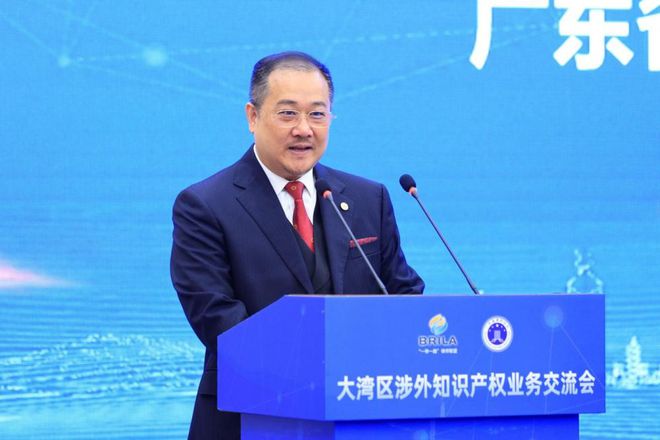 大湾区涉外知识产权业务交流会在深圳举办(图3)