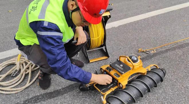 下水道里来了“龟医生”(图2)