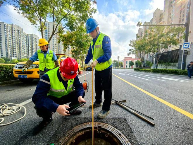 下水道里来了“龟医生”(图3)