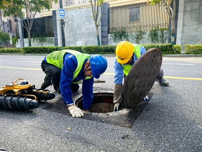 下水道里来了“龟医生”(图4)