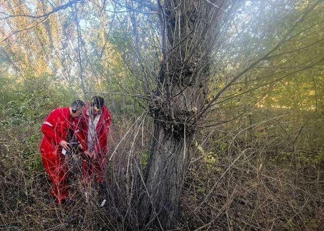 中国石油辽河油田油气集输公司:顺利为外部市场管道“排毒”(图2)