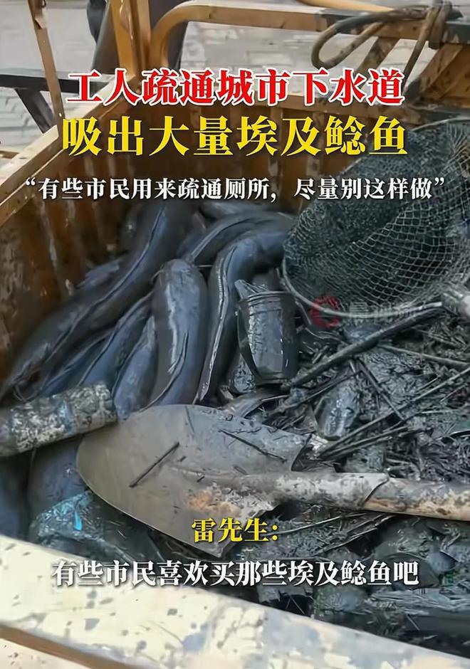 Kaiyun（中国体育）：工人疏通下水道吸出大量通厕所的鲶鱼！网友：看完评论再不吃烤鱼(图3)