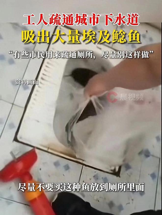 Kaiyun（中国体育）：工人疏通下水道吸出大量通厕所的鲶鱼！网友：看完评论再不吃烤鱼(图1)