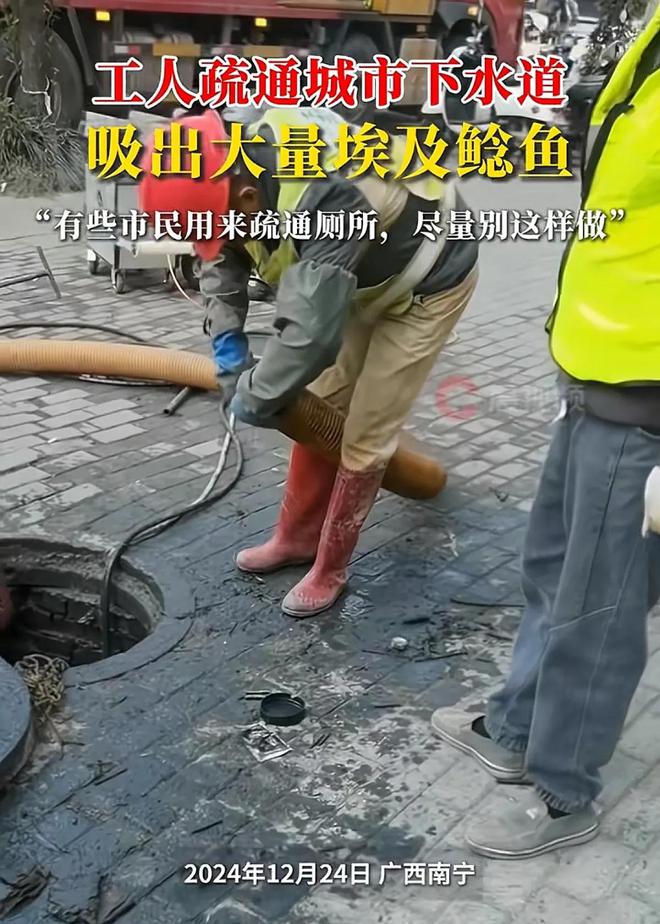 Kaiyun（中国体育）：工人疏通下水道吸出大量通厕所的鲶鱼！网友：看完评论再不吃烤鱼(图2)