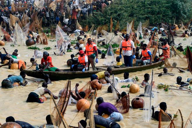 广西工人清下水道时被堵住管子吸不动发现十几条膘肥的大鲶鱼(图18)