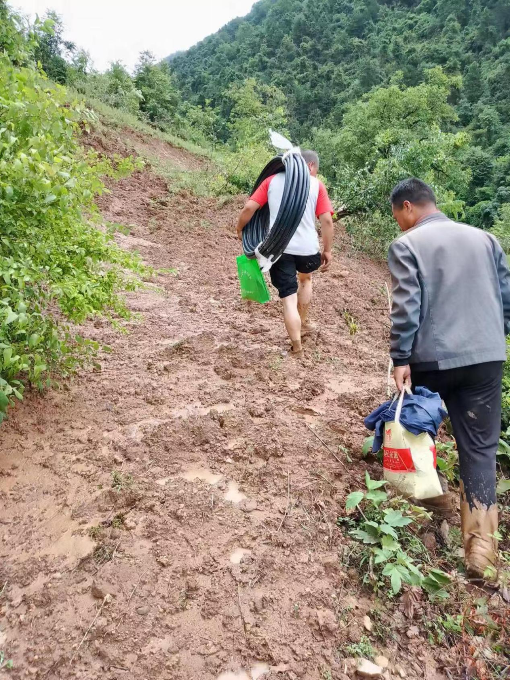 保管道畅通促饮水安全——两当县站儿巷镇2024年饮水安全工作综述(图1)