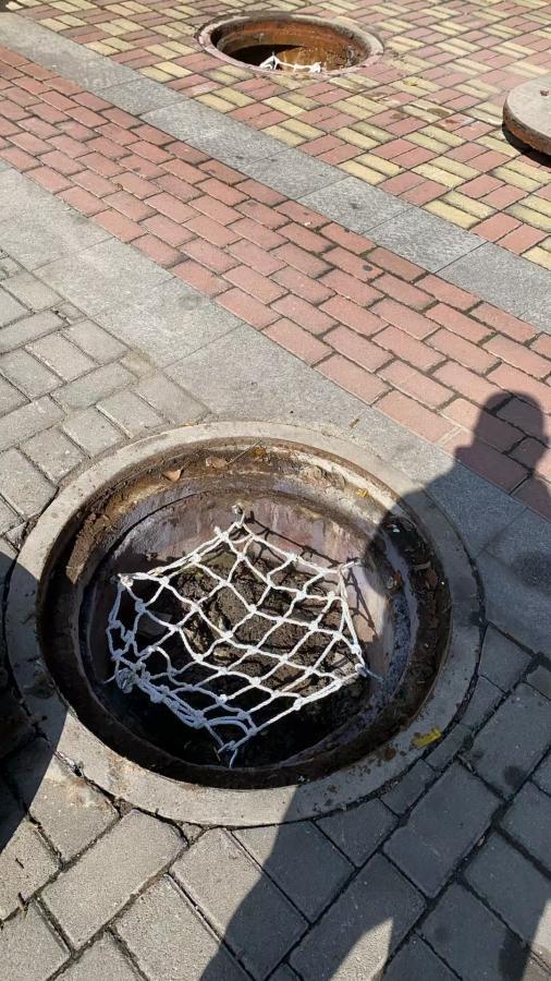 利州区东坝街道“办一件事暖万人心”惠民活动公示（2024年10月）(图4)