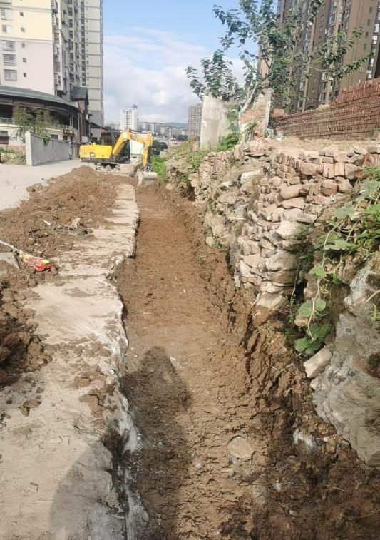 利州区东坝街道“办一件事暖万人心”惠民活动公示（2024年10月）(图5)