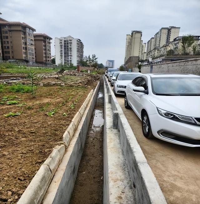 利州区东坝街道“办一件事暖万人心”惠民活动公示（2024年10月）(图6)